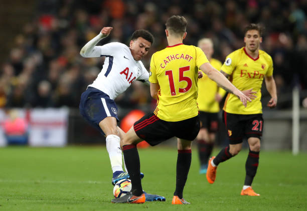 这种培养青 这种培养青